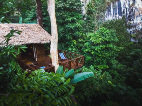 Our Jungle House - SHA Certified